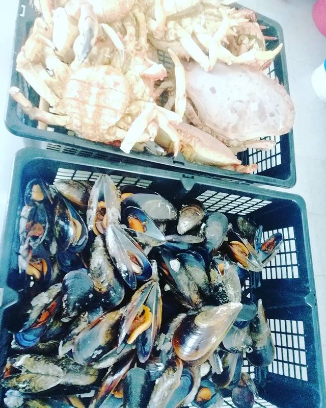 Distribucion de marisco de calidad para restaurantes - Cetarea Antromero