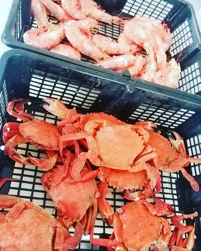 Distribucion de mariscos para restaurantes en Asturias - Cetarea Antromero